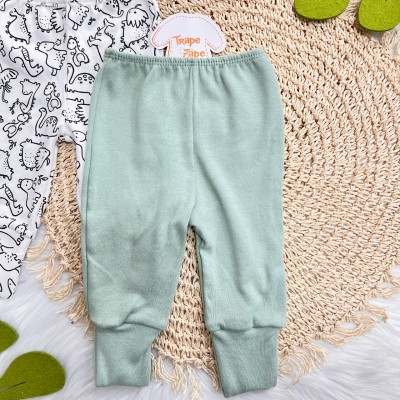 Kit 3 Calças - Carrinhos, Verde e Dinos